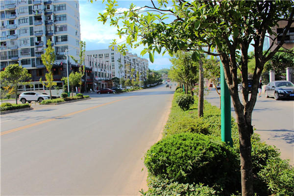 瀝青工程 、道路施工
